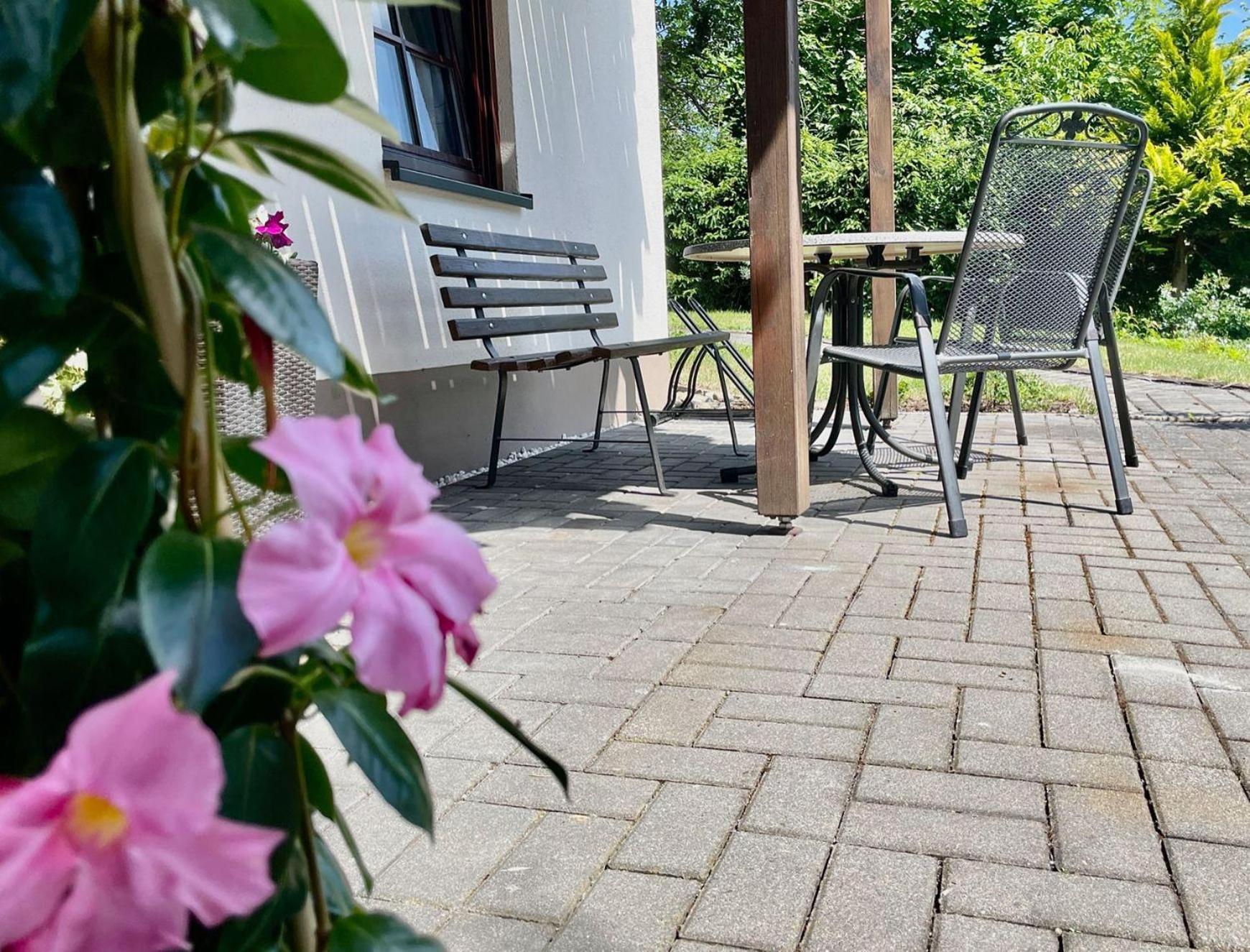 Ferienwohnung-Am-Suedhang Muglitztal Экстерьер фото