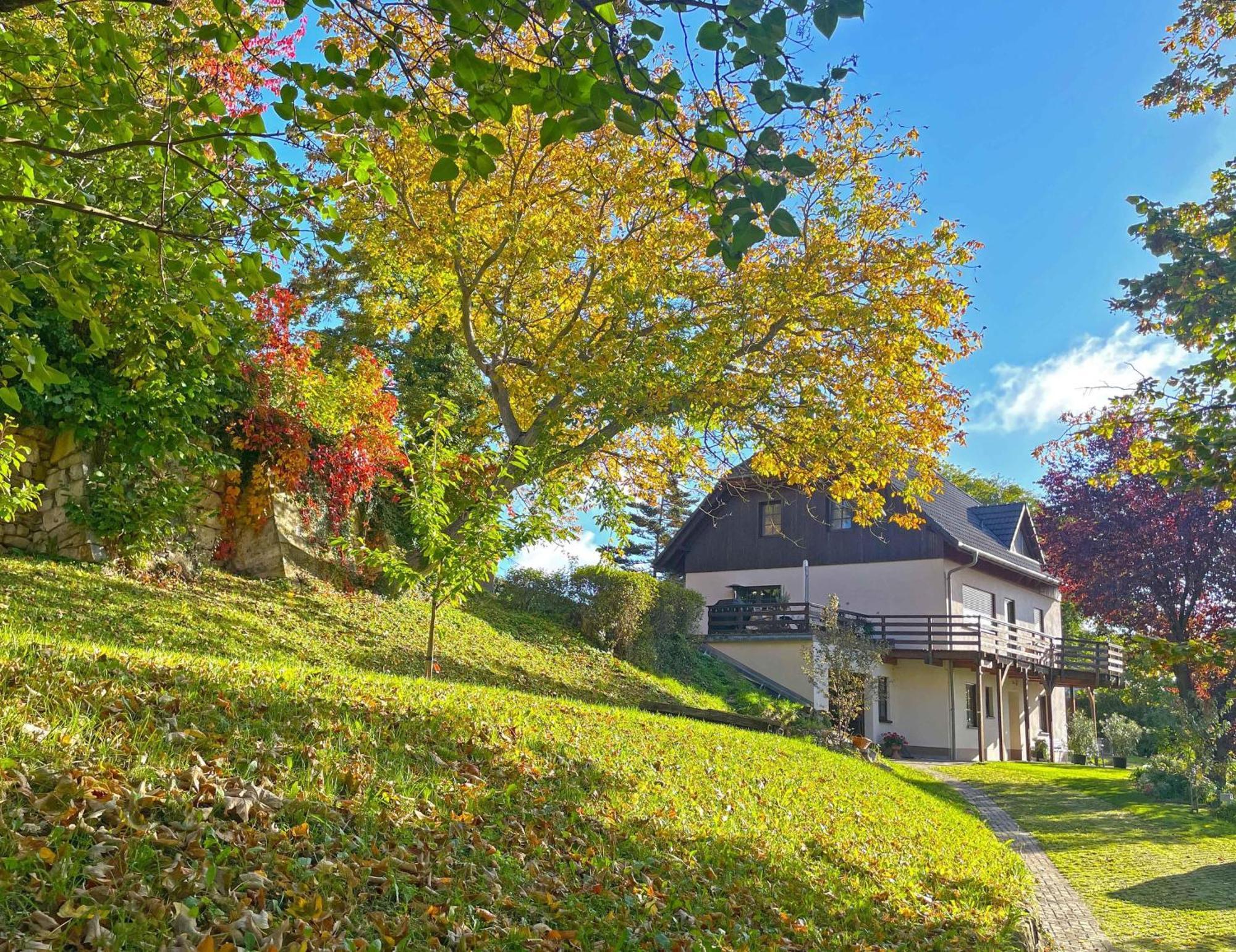 Ferienwohnung-Am-Suedhang Muglitztal Экстерьер фото